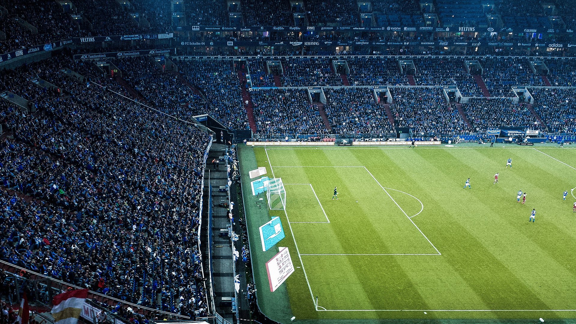 开云官方app入口-非洲雄鹰折翼，安第斯奇迹诞生，奥纳纳爆发助玻利维亚强势晋级，尼日利亚黯然出局