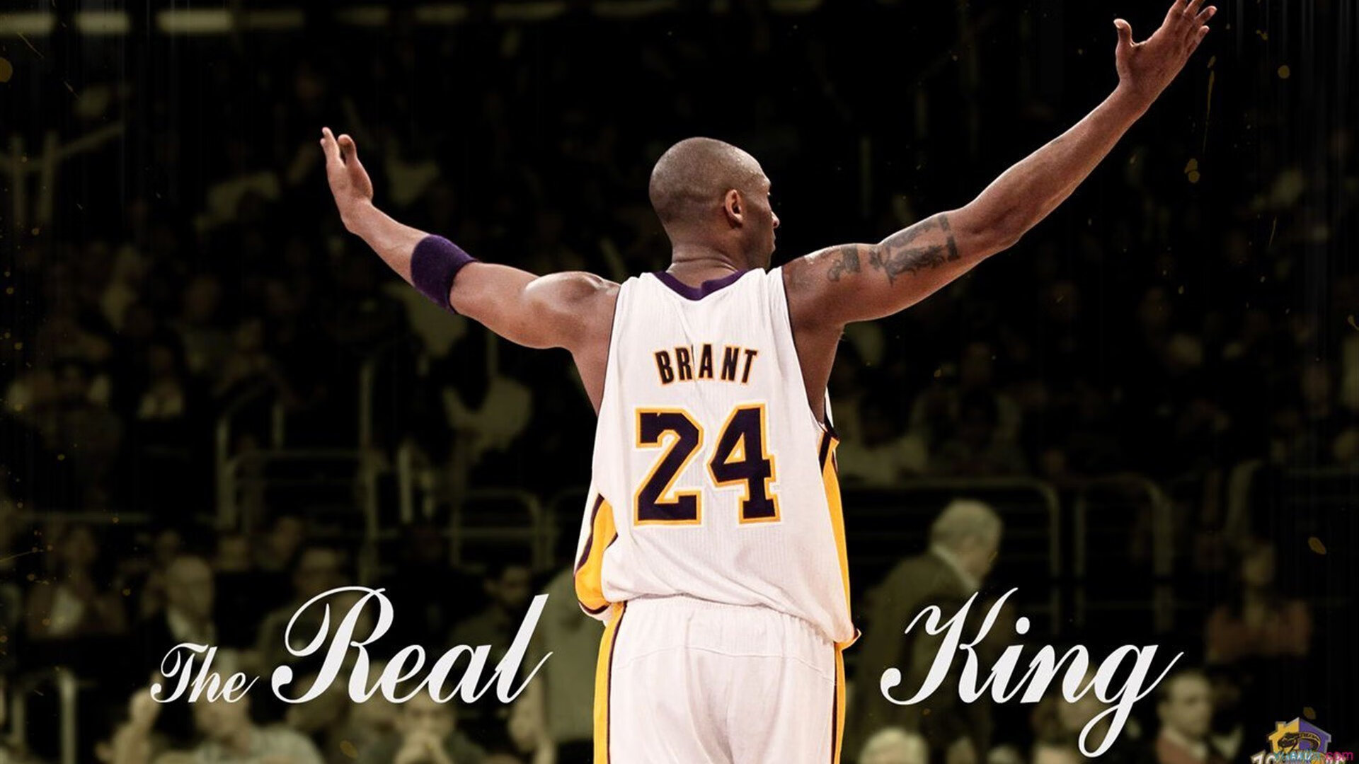 赛道上的独舞者，帕尔默在F1新赛季揭幕战之夜的绝对主宰