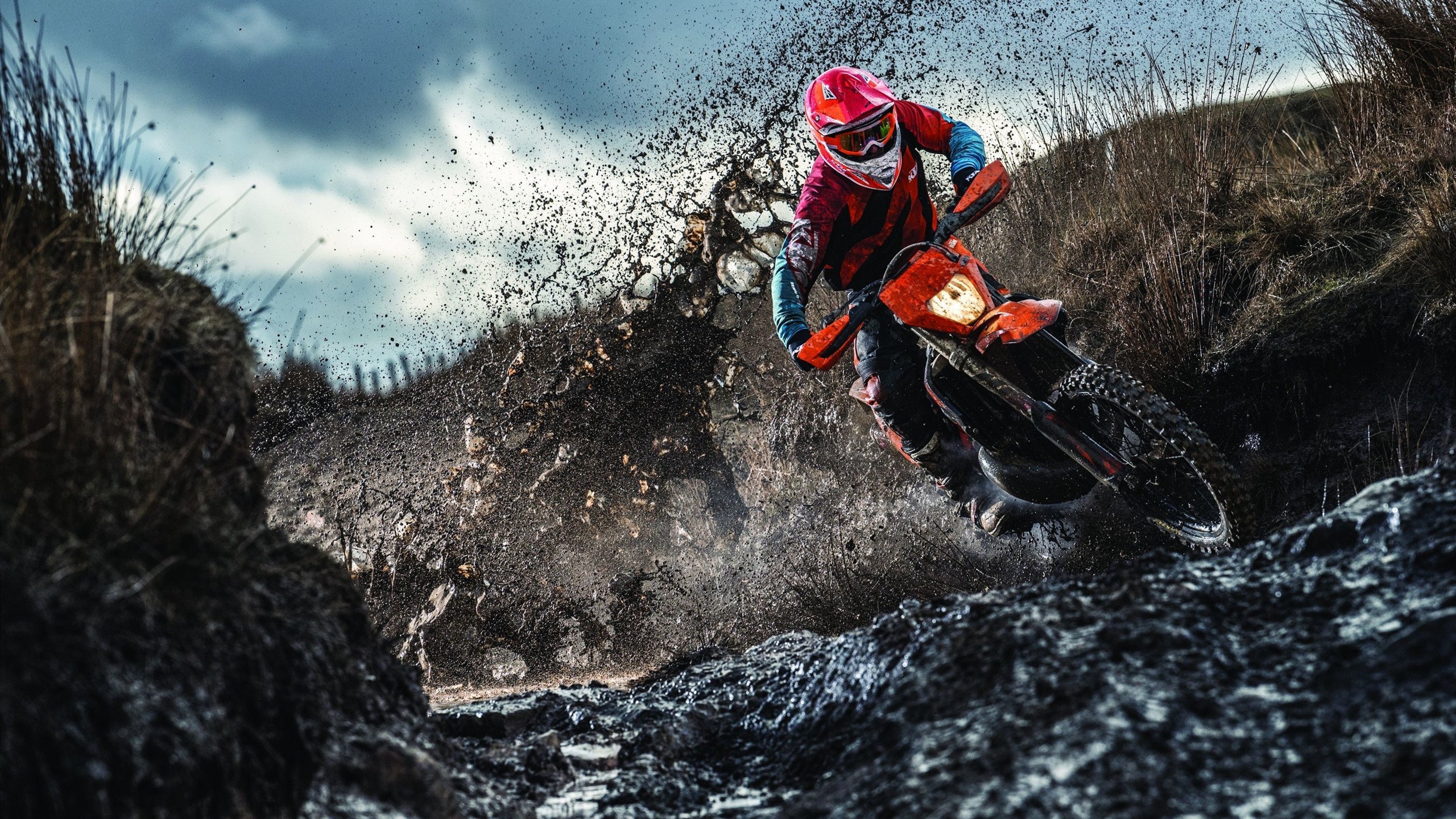 从维也纳到多哈，奥地利乒乓横扫瑞典，樊振东展现王者统治力